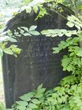 image of grave number 98903